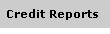 credit report