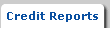 credit report